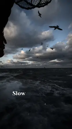 Slow Lòng người như 