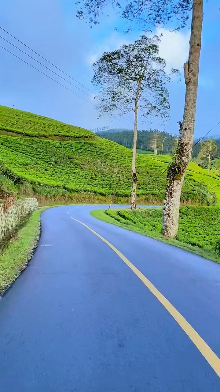 8 video road trip