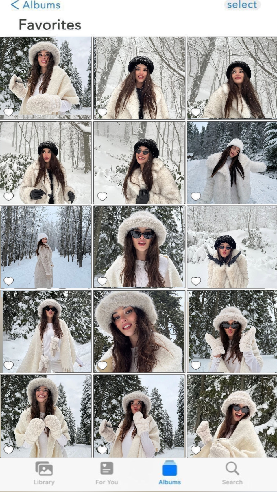 Collage de invierno