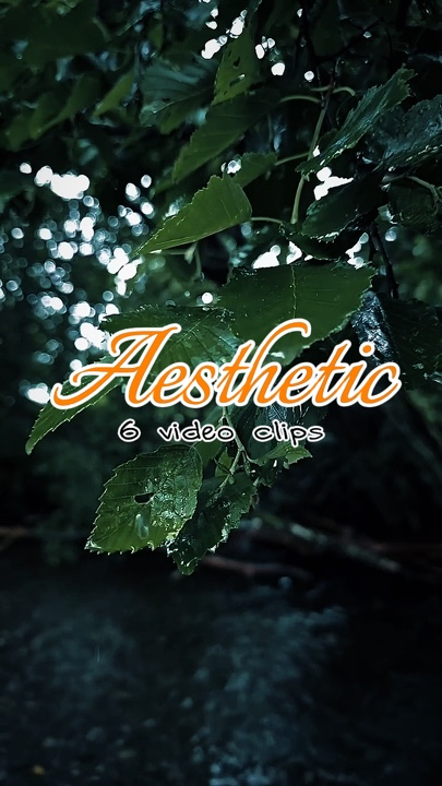 6 videos estéticos