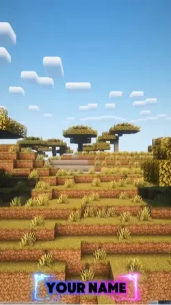 Minecraft Edit