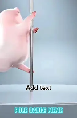 Pole dance meme