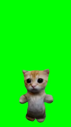 Cat Dancing