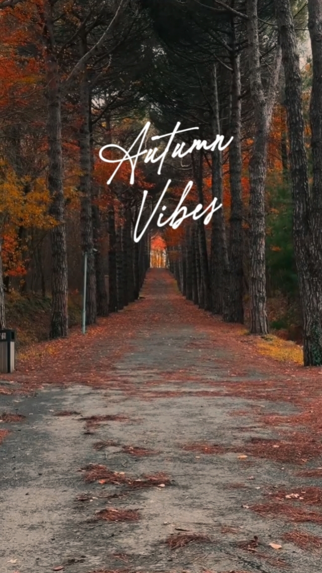 AUTUMN VIBES