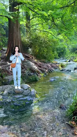 the river of peace