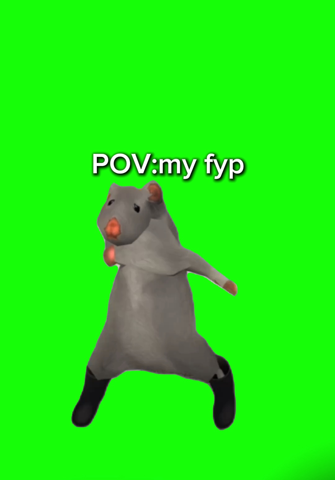 The Rat