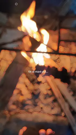 Tết về thành phố…