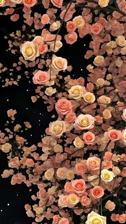 3d wallpaper