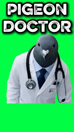 PIGEON DOCTOR AURA