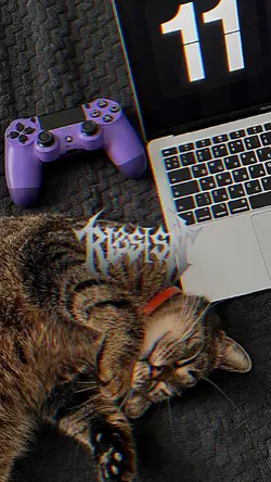 JJ DRAGONBOLL CIDORI