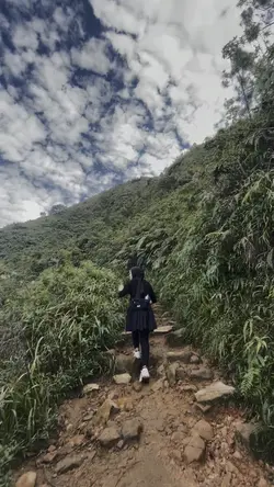 Mendaki