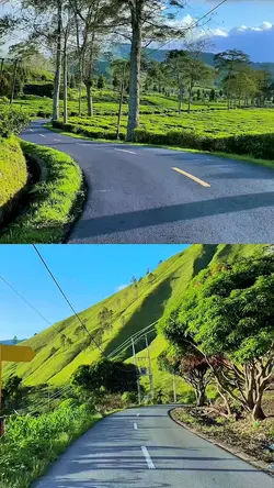 2 video collage hd