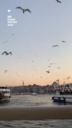 Roman olur yazsam