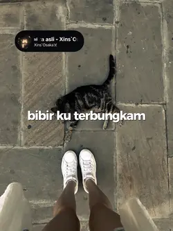 suka sama kamu