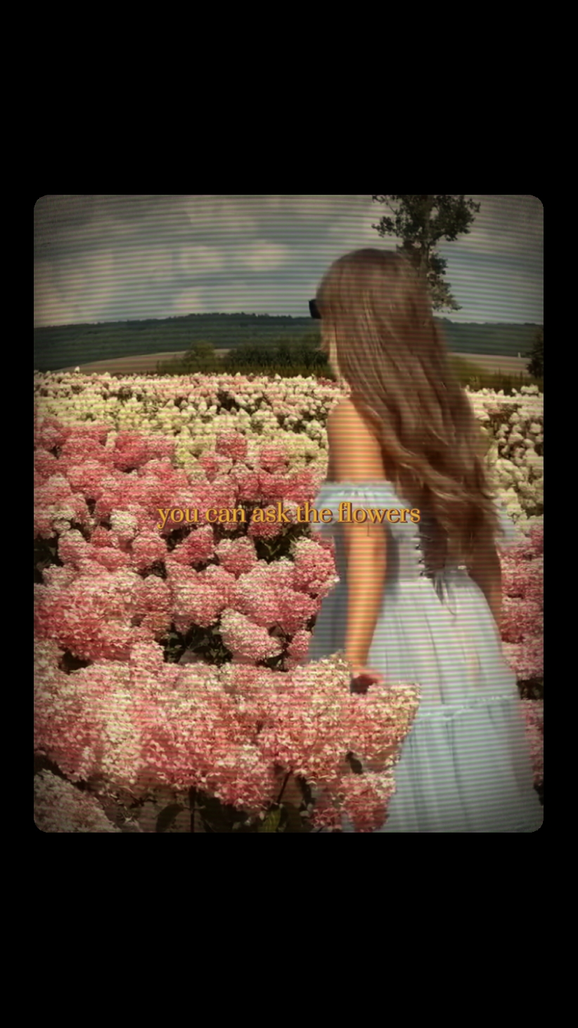 ask the flowers