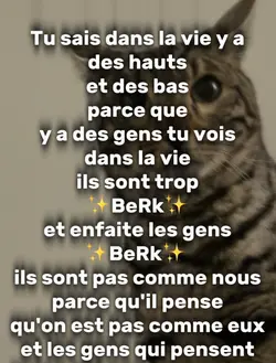 Les gens sont BeRk
