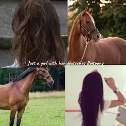 Deutsches Reitpony💞