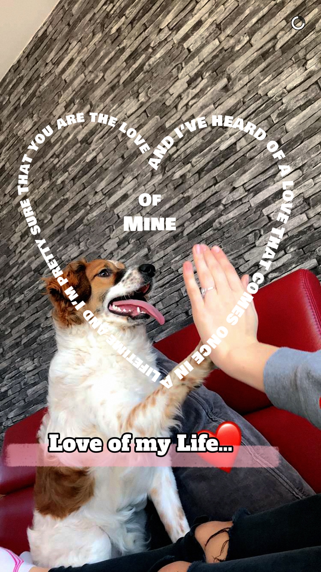 Love of my Life 🤍