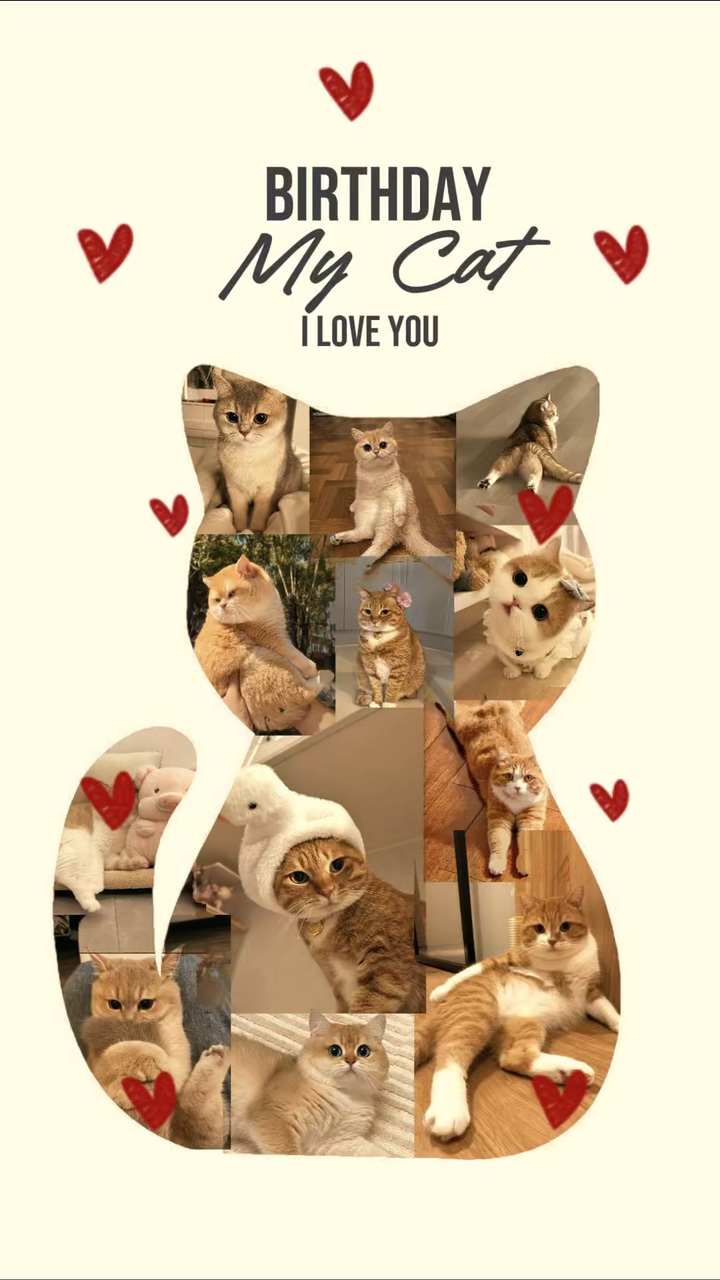 Anniversaire mon chat 
