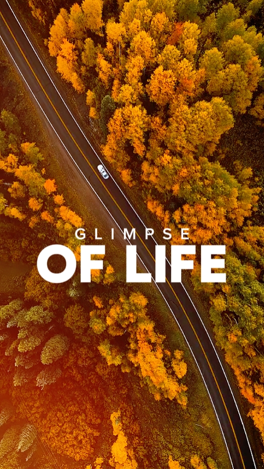 GLIMPSE OF LIFE