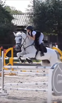 Edit horseshowjumpin