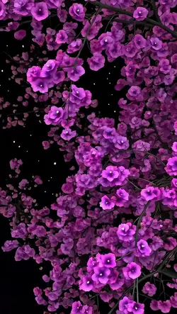 3d wallpaper