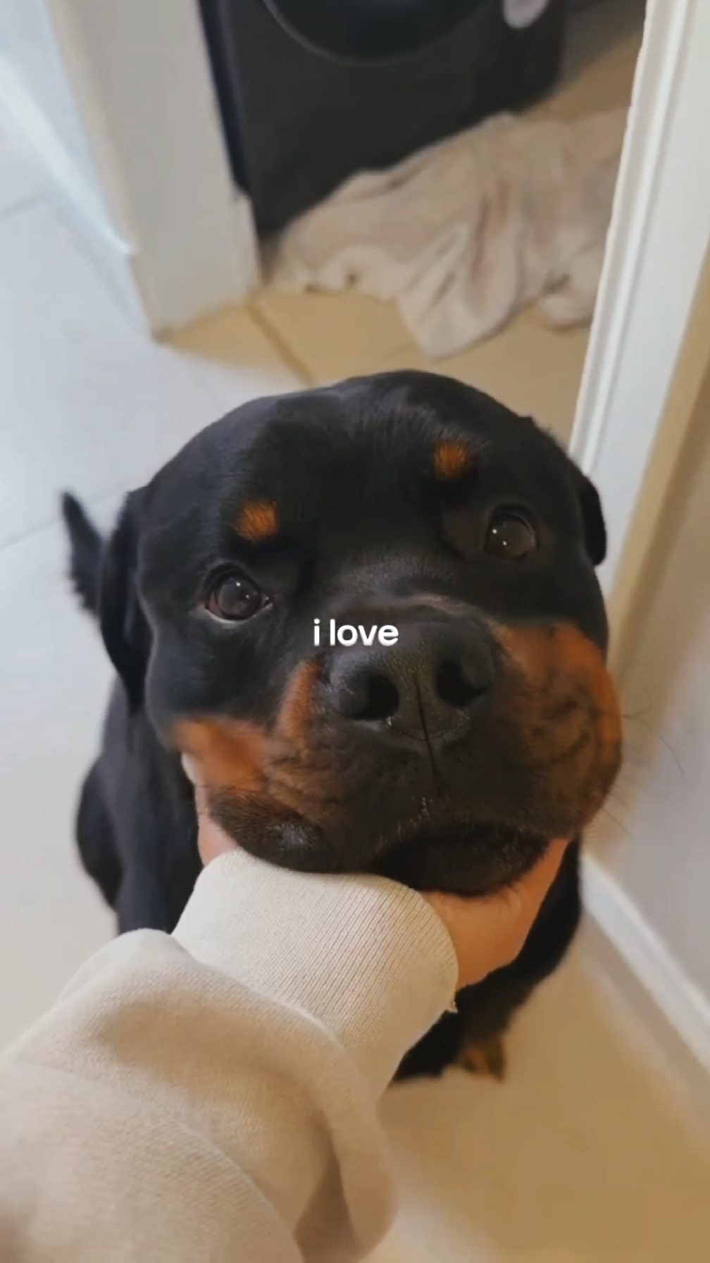 I love