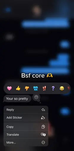Bsf core 🫶