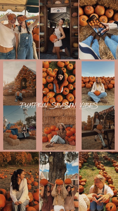 Calabaza temporada 2