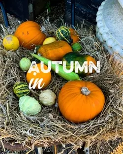 Autumn