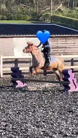 Slow mo horse