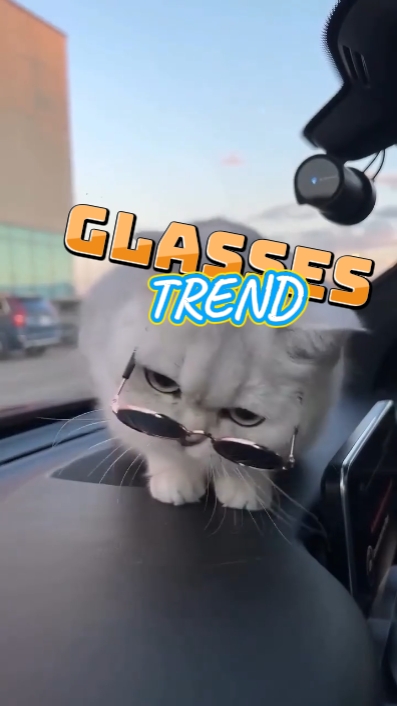 TENDENCIA DE GAFAS