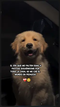 El día...