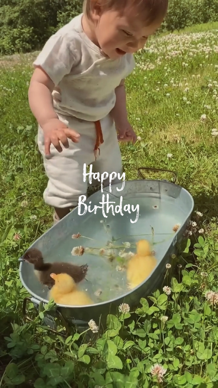 anniversaire mon bébé 