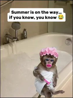 monkey self care