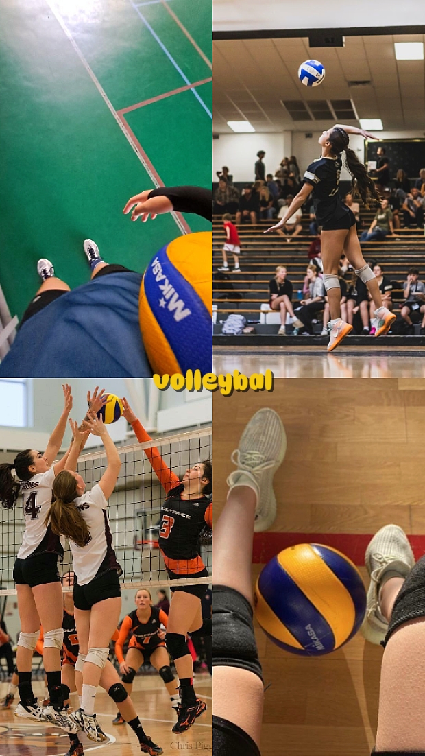 volleyball
