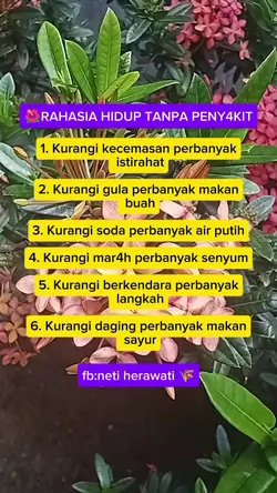 @neti HR