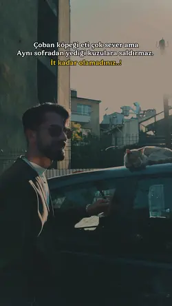 İt kadar olamadınız