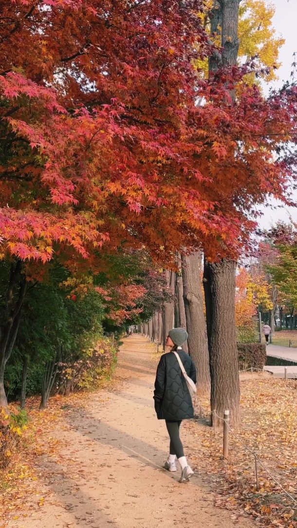 HERBST 