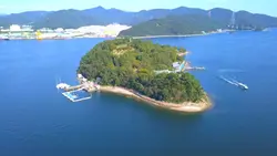 #부산갈매기