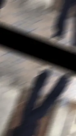 ใส่รูปเฟี้ยวๆ