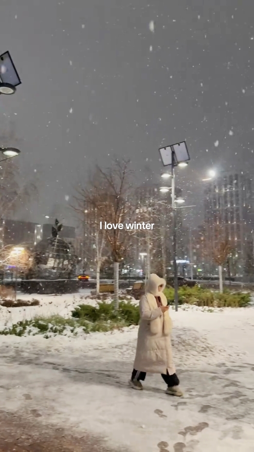 Ich liebe den Winter 