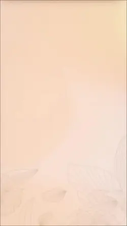 Sfila il tuo lato audace