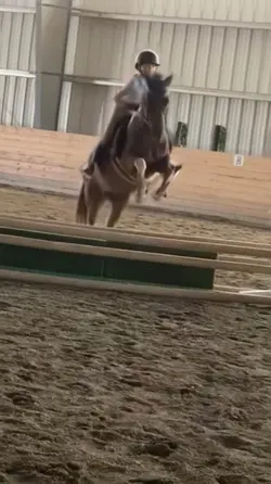 this pony broo 😍