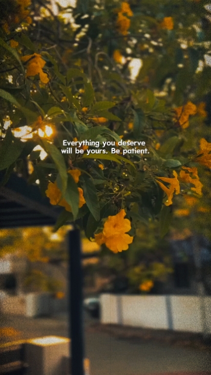 Soyez patient 