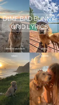 DtMF grid lyrics 🇬🇧