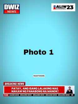 NAKAW MANOK