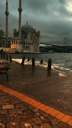 Yeni şablon