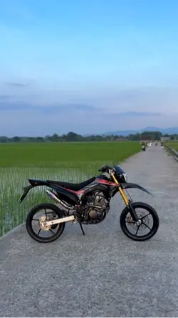 Kicau mania slow