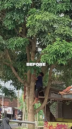 Before vs after core
